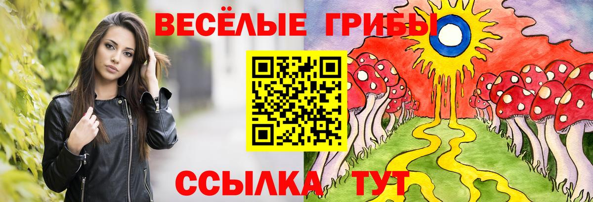 Галлюциногенные грибы ЛСД Качканар